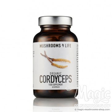  Cordyceps Mushroom Supplement Capsules | Mushrooms4life
