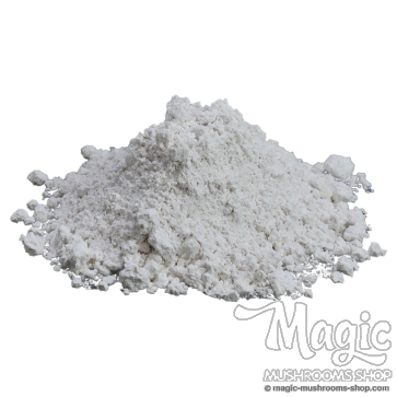 Gypsum Calcium sulfate dihydrate 500 grams