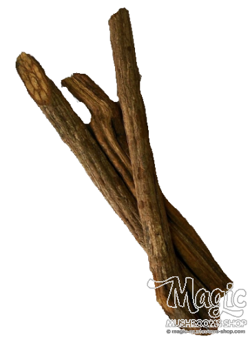 Banisteriopsis Caapi Trueno, shredded  Banisteriopsis Caapi Trueno, shredded