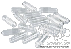 Empty capsules Empty capsules