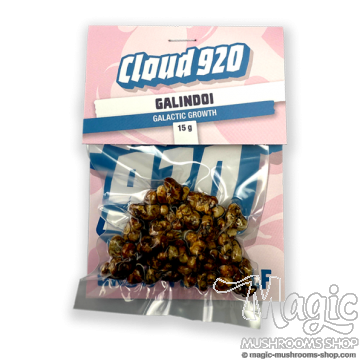 Psilocybe Galindoi Magic Truffles