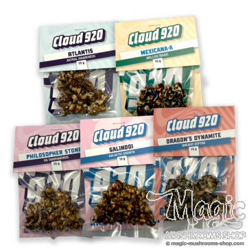 Magic Truffles Value Pack - Discount offer