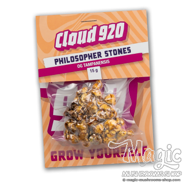 Truffles Tampanensis