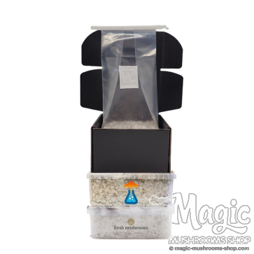magic mushroom combi pack dicount