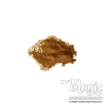 Damiana | Turnera diffusa | Extract 20x