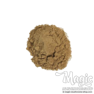 Maconha Brava Zornia Latifolia | Extrakt 25x