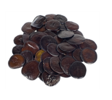 Yopo seeds | Anadenanthera peregrina 