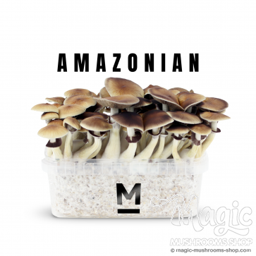 Flush of Amazonian XTC growkit