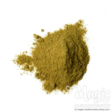 Muira Puama | Ptychopetalum Olacoides | Extract 4:1