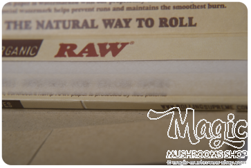 RAW Organisches 1¼ Große Connoisseur Drehpapier & Filtertips