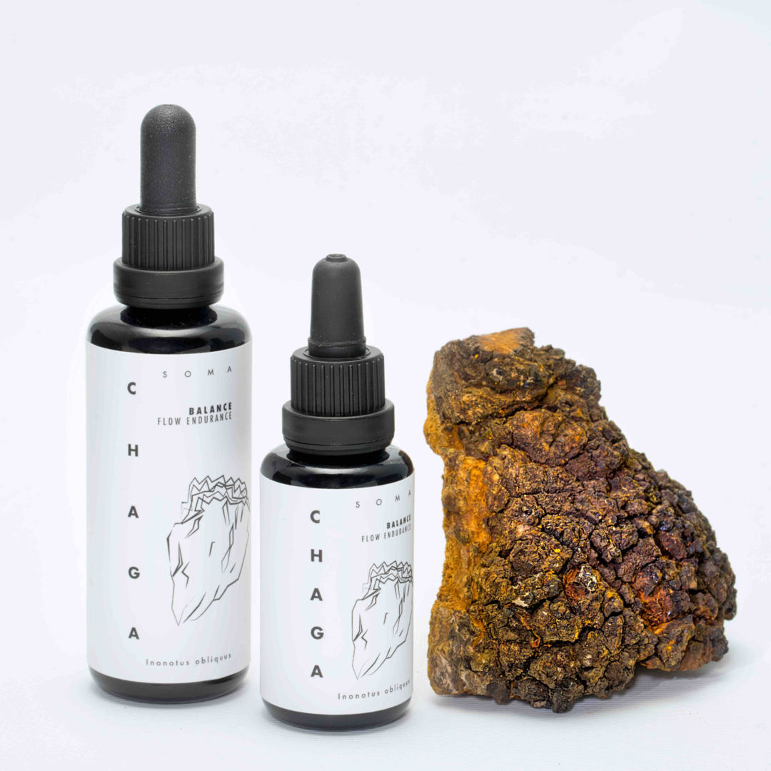 Chaga mushroom extract Chaga mushroom extract