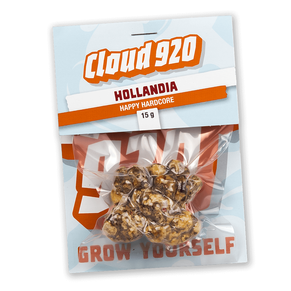 Magic Truffles Hollandia Magic Truffles Hollandia