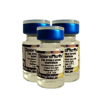 Offre Spéciale de Spores Cubensis