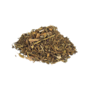 Wilder Kopfsalat | Lactuca virosa