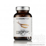 Cordyceps Pilz Ergänzung Kapseln | Mushrooms4life