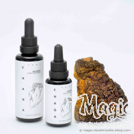 Chaga Pilz Tinktur - Inonotus obliquus Extrakt | KÄÄPÄ Gesundheit