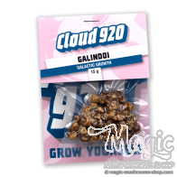 Galindoi Trüffel | 15 Gramm