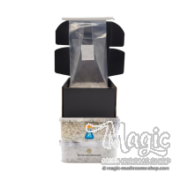 Growkit Kombi-Pack | 3  ZauberPilze Growkits