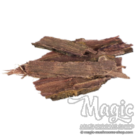 Jurema Preta | Mimosa hostilis