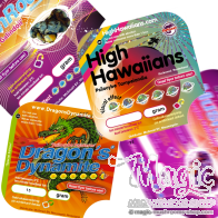 Power Magic Trüffel Vorteilspack