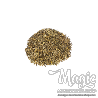 Rohrglanzgras | Phalaris Arundinacea | 10 Gramm