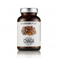 Chaga (Inonotus Obliquus) Pilz-Kapseln | Mushrooms4life