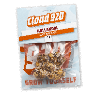 Hollandia Trüffel | 15 Gramm