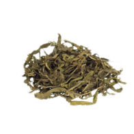 Sinicuichi | Heimia salicifolia