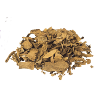 Voacanga africana | Voacanga africana | 20 Gramm