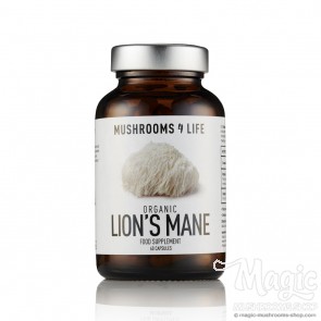 Lion’s Mane Hericium erinaceus Capsules   Lion’s Mane Hericium erinaceus Capsules