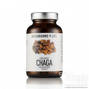 Chaga (Inonotus Obliquus) Mushroom Capsules Mushrooms4life Chaga (Inonotus Obliquus) Mushroom Capsules Mushrooms4life