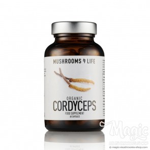 Cordyceps Mushroom Supplement Capsules | Mushrooms4life  Cordyceps Mushroom Supplement Capsules | Mushrooms4life