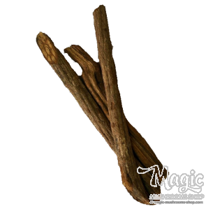 Banisteriopsis Caapi Trueno, shredded  Banisteriopsis Caapi Trueno, shredded