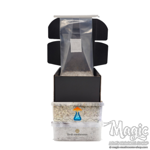 magic mushroom combi pack dicount