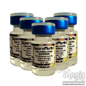 Offre Spéciale de Spores Cubensis Offre Spéciale de Spores Cubensis