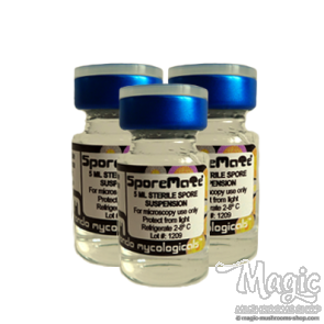 Offre Spéciale de Spores Cubensis Offre Spéciale de Spores Cubensis