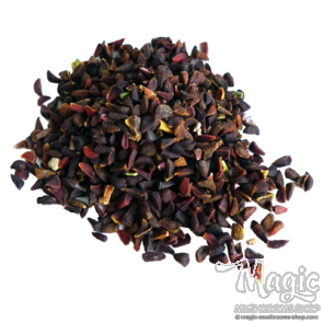 Syrian Rue (Peganum harmala)