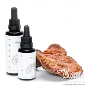 Reishi-Pilz-Tinktur – KÄÄPÄ Health