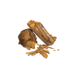 Banisteriopsis caapi | Rotes Brasilien