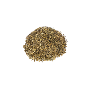 Reed Canary Grass | Phalaris Arundinacea