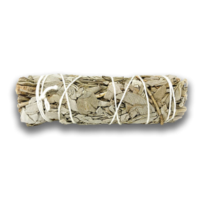 White Sage Smudge sticks