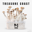 Mondo® Growkit Treasure Coast
