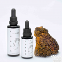 Chaga Pilz Tinktur - Inonotus obliquus Extrakt | KÄÄPÄ Gesundheit 