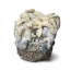 AMTP — Cloud920® Ready-to-Grow Bag
