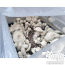 Boomer Shroomer with Blue Ghost cubensis