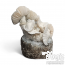 Jack Frost Cloud920® XL Grow Kit