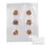 Microdosing Magic Truffles | Vakuum-versiegelt 