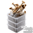 magic mushroom XL grow kit combi pack