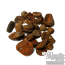 Kola Nut | Cola Nitida | Whole nuts