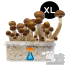 GetMagic McKennaii XL Grow Kit